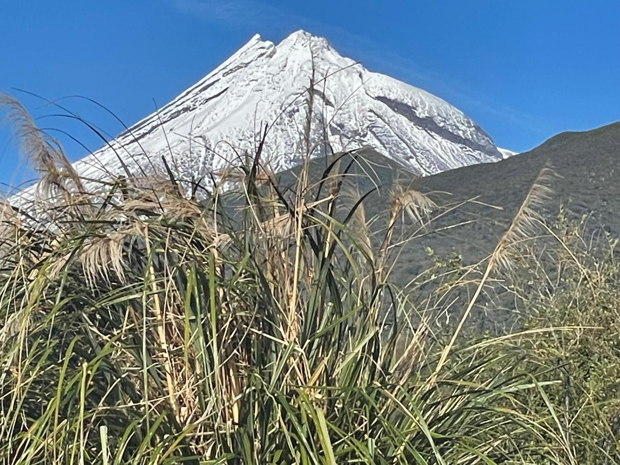 Mangorei Heights - New Plymouth Exteriér fotografie